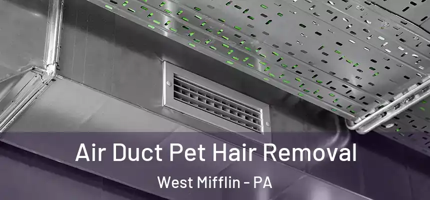  Air Duct Pet Hair Removal West Mifflin - PA