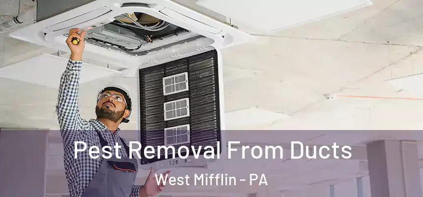  Pest Removal From Ducts West Mifflin - PA