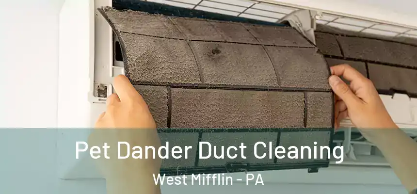 Pet Dander Duct Cleaning West Mifflin - PA