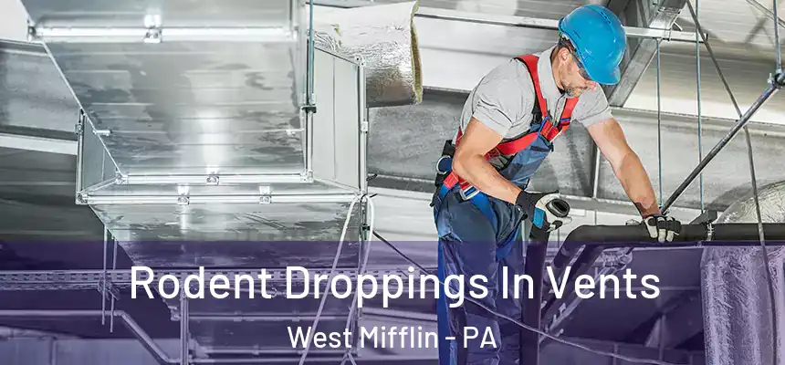  Rodent Droppings In Vents West Mifflin - PA