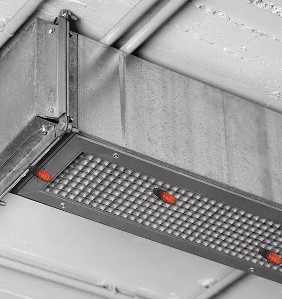 About Air Duct Cockroach Removal in West Mifflin, PA