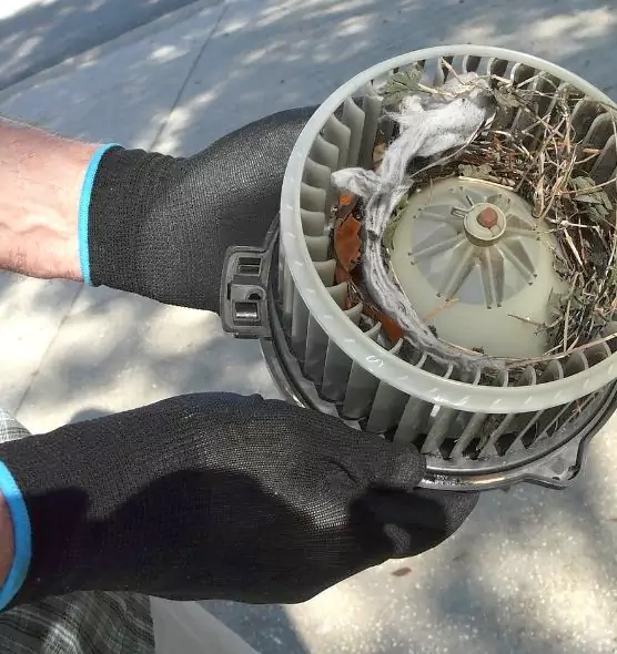 About Air Duct Mice Removal in West Mifflin, PA