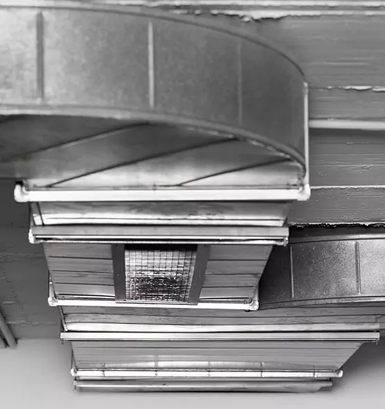 Professional Air Duct Pest Removal in West Mifflin, PA