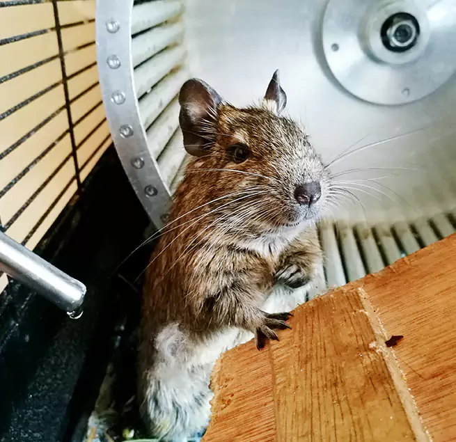 Why Homeowners & Businesses Trust Us West Mifflin, PA